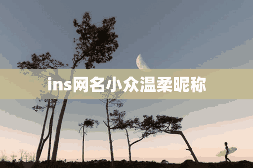 ins网名小众温柔昵称